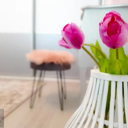 Visum Pool & Mamaia Nord Apartamento Năvodari