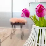 Visum Pool & Mamaia Nord Apartment Navodari