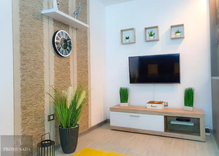 Visum Pool & Mamaia Nord Appartamento