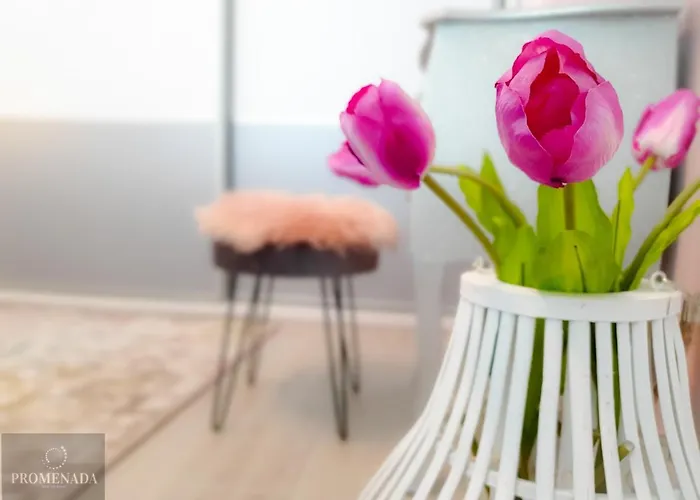 Visum Pool & Mamaia Nord Appartamento Năvodari