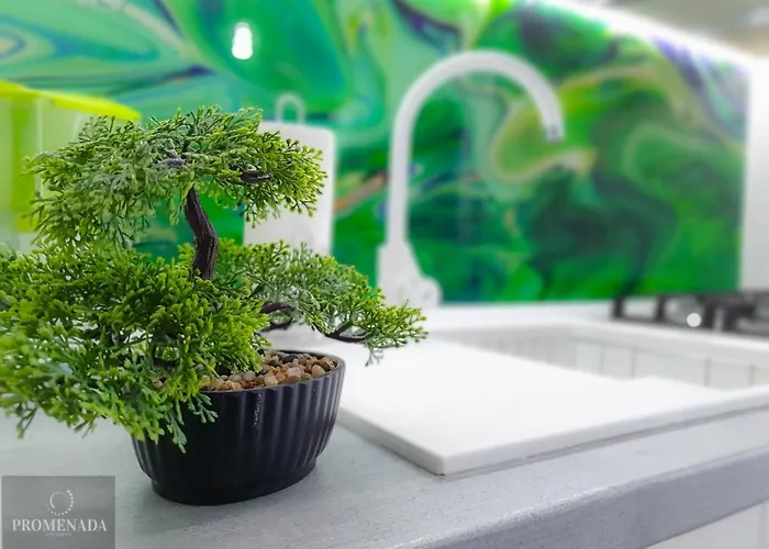 Visum Pool & Mamaia Nord 3* Năvodari